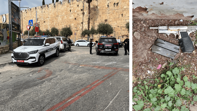 האקדח עמו ביצע את הפיגוע בעיר דוד האקדח עמו ביצע את הפיגוע בעיר דוד