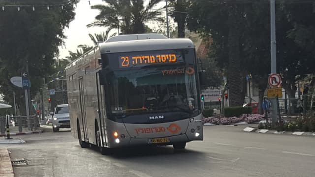 קו 29, המסלול חוזר