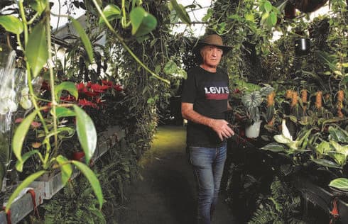 משתלת יהלום בכפר אז"ר. עדיפות לרקפות