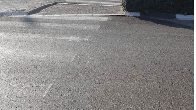 לא הבחין בה על מעבר החציה 