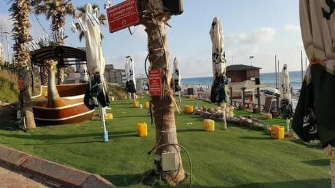 סטלה ביץ' בימים הטובים
