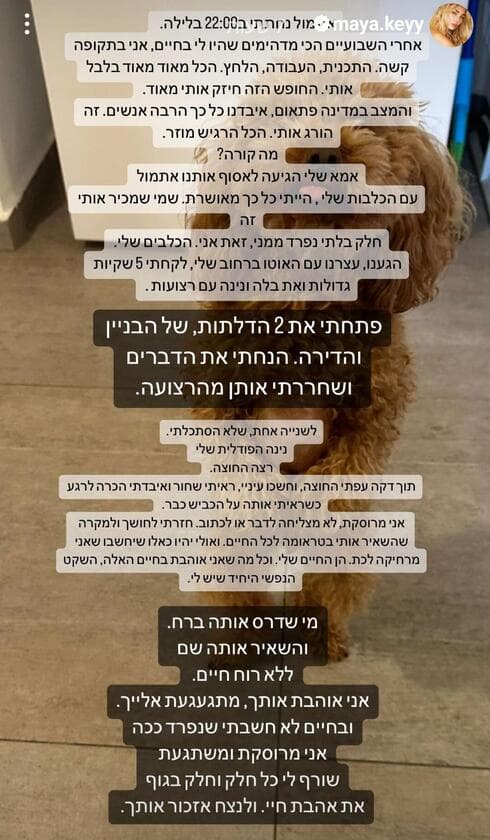 הפוסט שכתבה על מותה של הכלבה