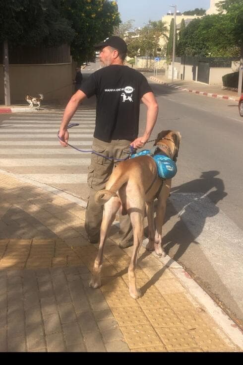 צור גרנות - אומן התנהגות הכלבים 