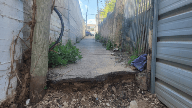 השביל סמוך לבית. אין גישה (צילום: אלבום פרטי) השביל סמוך לבית. אין גישה
