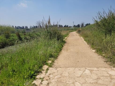 מסלול ההליכה החדש לאורך הנחל. יש גם ספסלים לשבת (צילום: ניצן ינקו) מסלול ההליכה לאורך הנחל