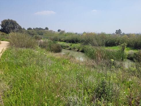 טיול במקורות הירקון טיול במקורות הירקון