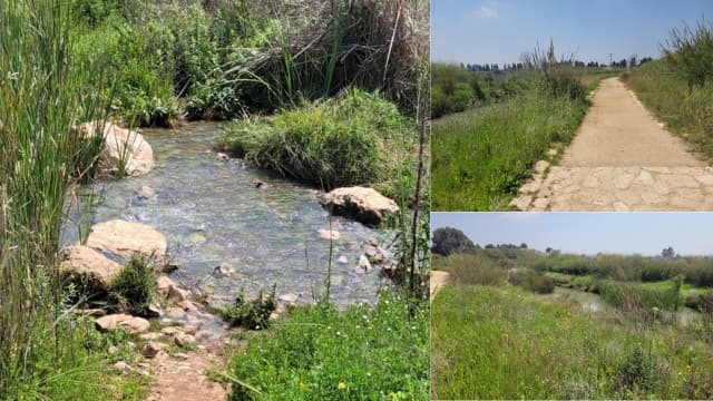 מקורות הירקון