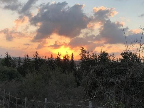 יער קרית אתא