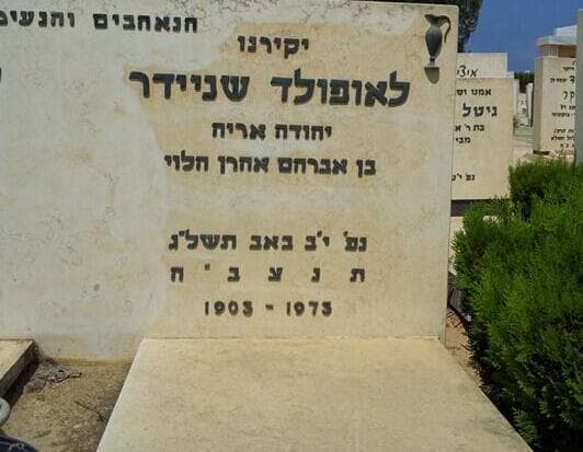 רני בן נחום