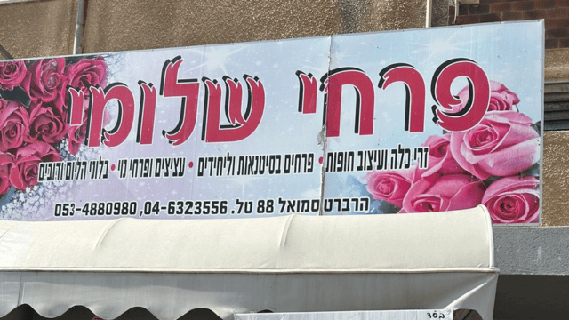 פרחי שלומי. מסורת של עזרה (צילום: אלבום פרטי) פרחי שלומי. מסורת של עזרה