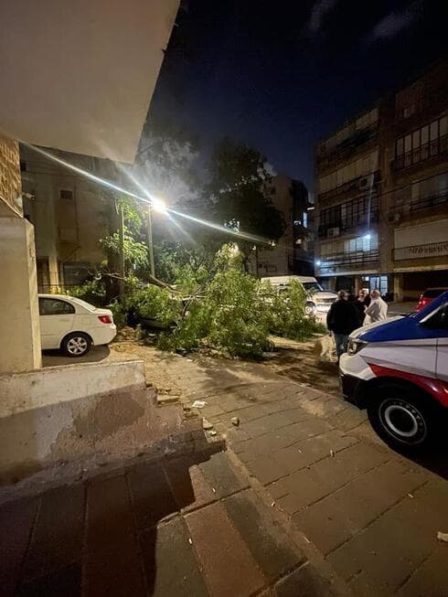 העץ שקרס על הרכב בבת ים