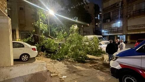 העץ שקרס על הרכב בבת ים