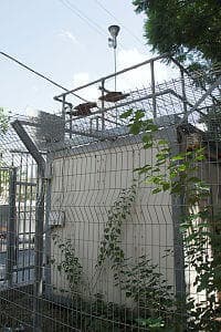 תחנת ניטור אוויר