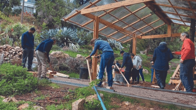 מטפחים, שותלים ומעדרים
