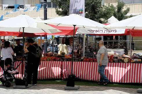 התושבים מרוצים מהטריות ומהמחירים. שוק תוצרת הארץ בעיר העתיקה  
