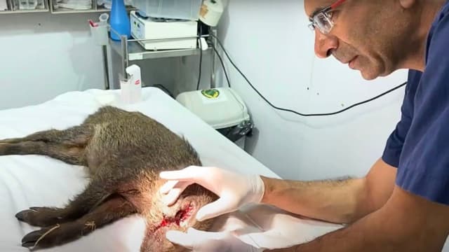 על שולחן הניתוחים