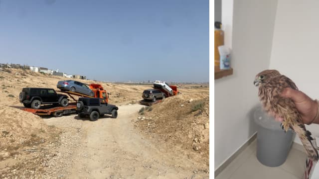 השלל שנתפס