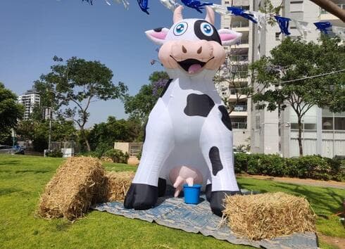 שבועות בקניון עיר ימים