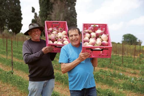 משק בית חנן