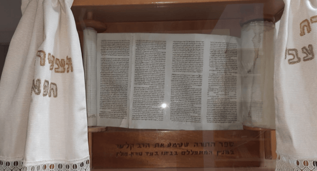 ספר התורה מקיבוץ טירת צבי