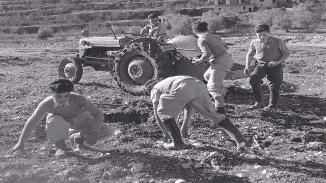 החווה בעבר (צילום: משפחת טור סיני) החווה בעבר