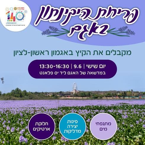 פריחת היקינתון. הפנינג מיוחד