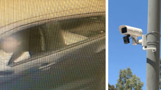 הצלת חיים באמצעות המצלמות העירוניות
