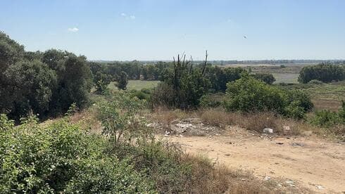 תל שלף כיום