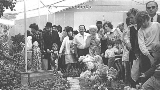 תערוכת הפרח בחיפה בשנת 1971