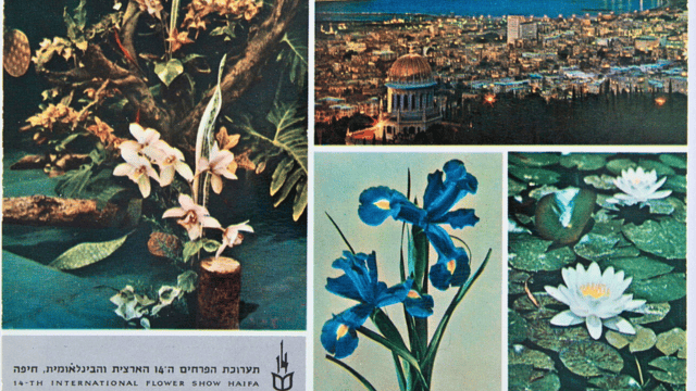 אוסף גלויות התערוכה 1961