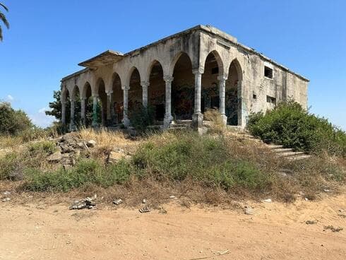 הארמון בתל שלף. מזהים מפאודה?