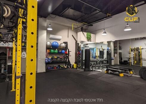 הכושר להתמיד 