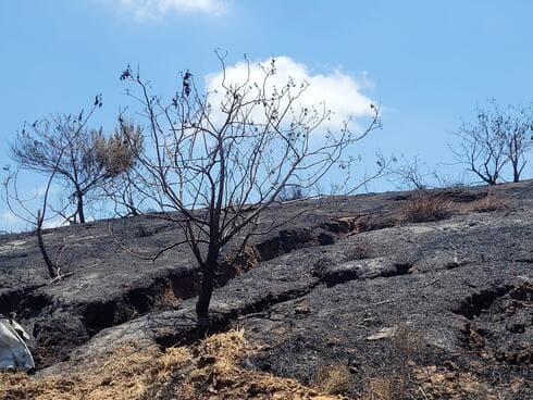ההר השחור ליד פתח תקוה