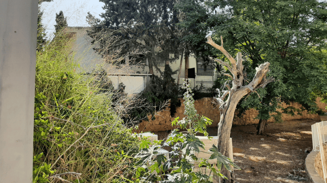 המבנה הנטוש ברחוב ברטונוב