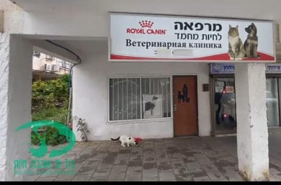 המרפאה הווטרינרית של העמותה