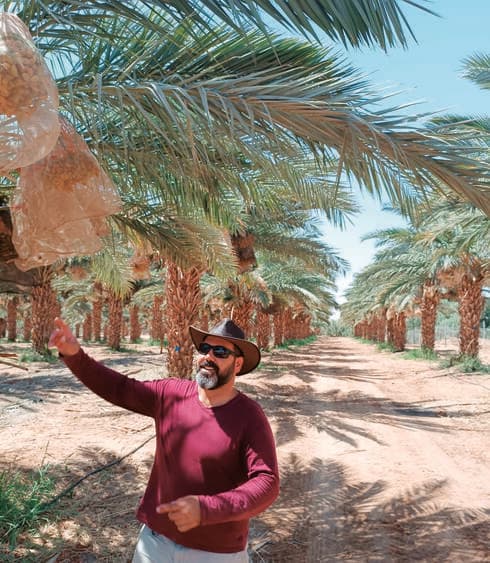 יואב עובד בחוץ