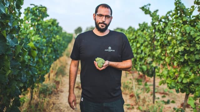 מצא את ייעודו. אבירם בכרם אמפורה