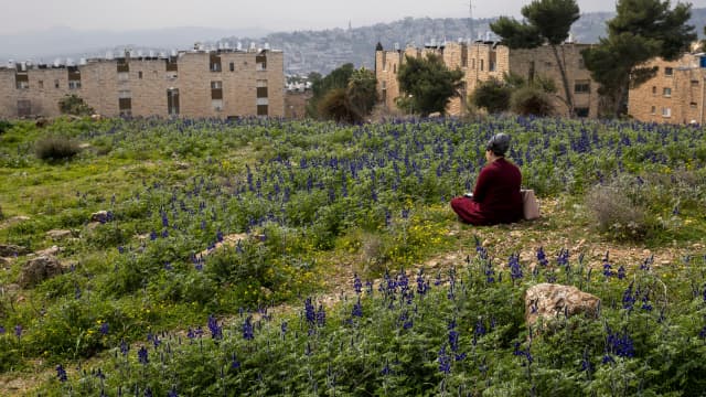 גבעת התורמוסים ארמון הנציב