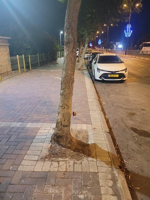 חיישני טרמיטים בפתח תקוה