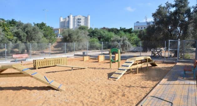 אחת מגינות הכלבים בנוף הגליל 