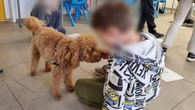 "כל הילדים משחקים בחופשיות עם הכלבים" 