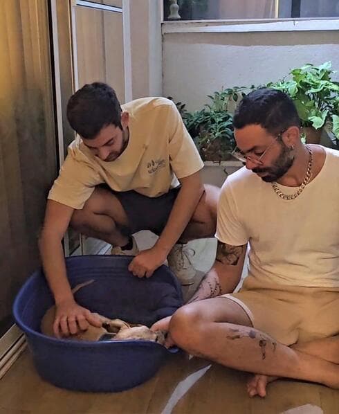 משפחת ברוידא וברט