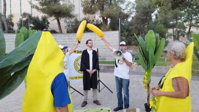 פעילי המחאה מול בית המשפט העליון
