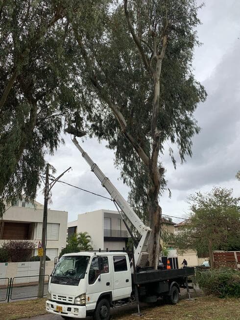 היערכות לחורף ברעננה (צילום: דוברות העירייה) היערכות לחורף ברעננה