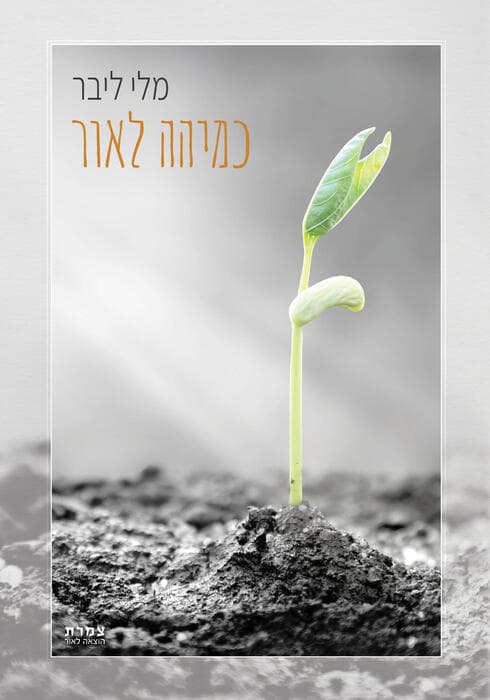 כריכת הספר