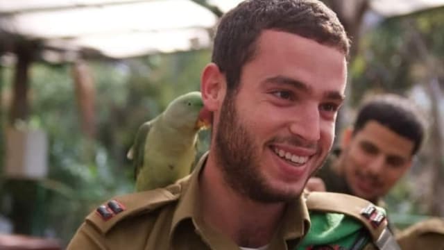רועי צ'אפל. כאב גדול