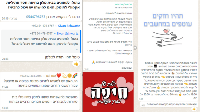 מערך המתנדבים של שרית גולן (צילום מסך) מערך המתנדבים של שרית גולן