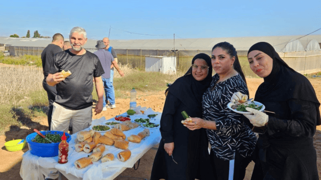 מעורבות חברתית