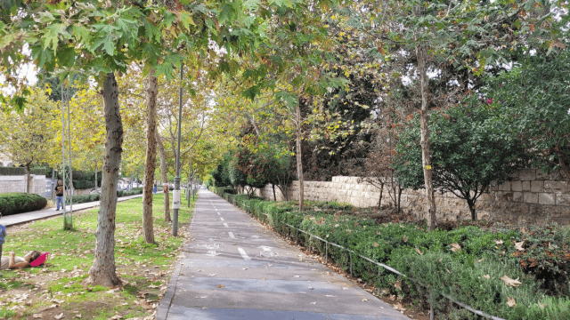פארק המסילה פארק המסילה
