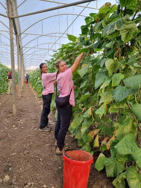 עובדים בחקלאות (צילום: מכינת חנתון) עובדים בחקלאות